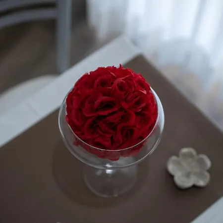 Damianto Bed & Breakfast