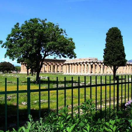 Damianto 3* 카파치오페스툼